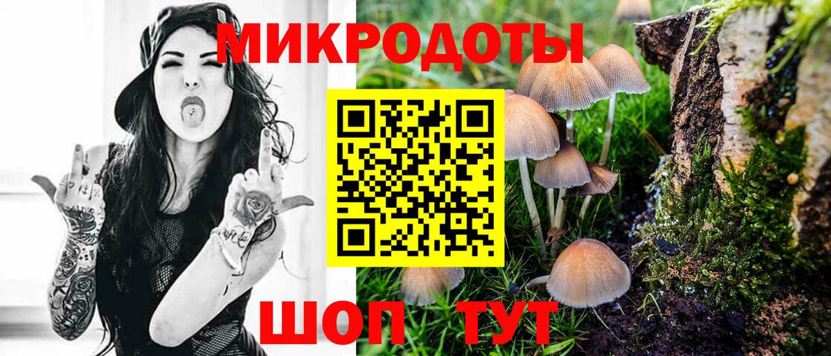 Псилоцибиновые грибы Psilocybine cubensis  Вход с VPN  Железноводск 
